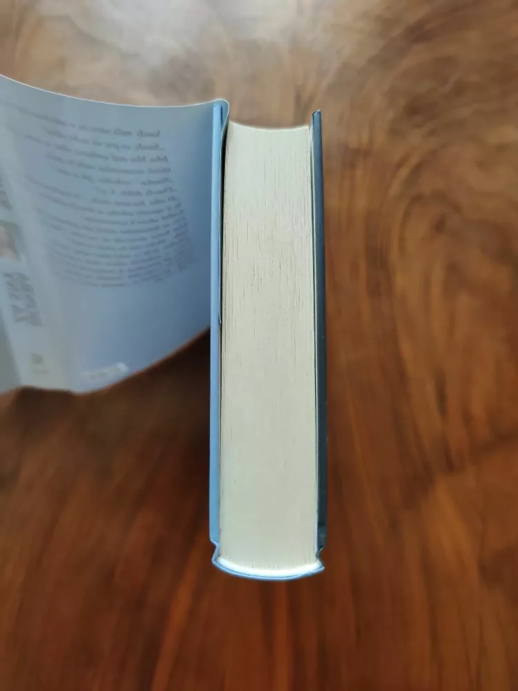 SUSAN LEWIS - Honba za sny