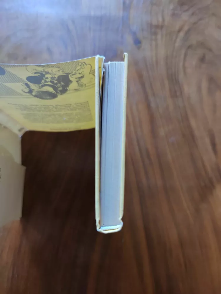 BERND DIKSEN -  Za prohru se platí