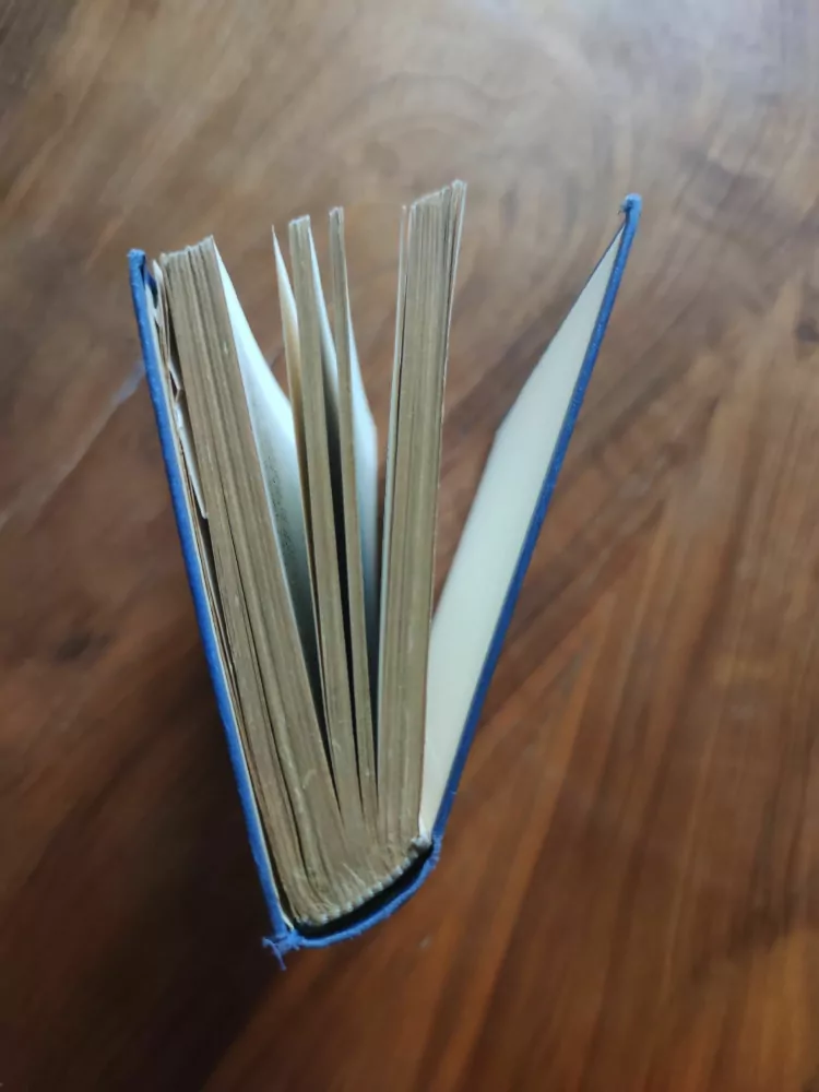 LADISLAV VLADYKA -  Mnohoženství