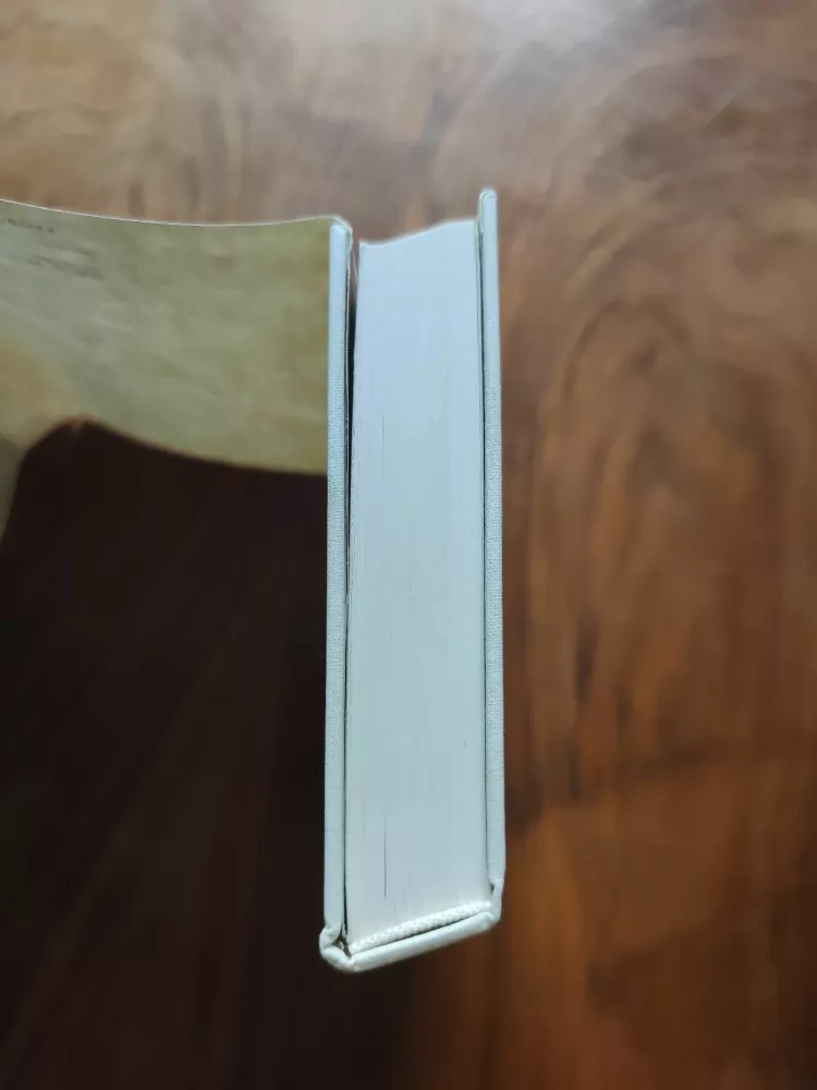 MICHELE PRISCO -  Dědicové větru