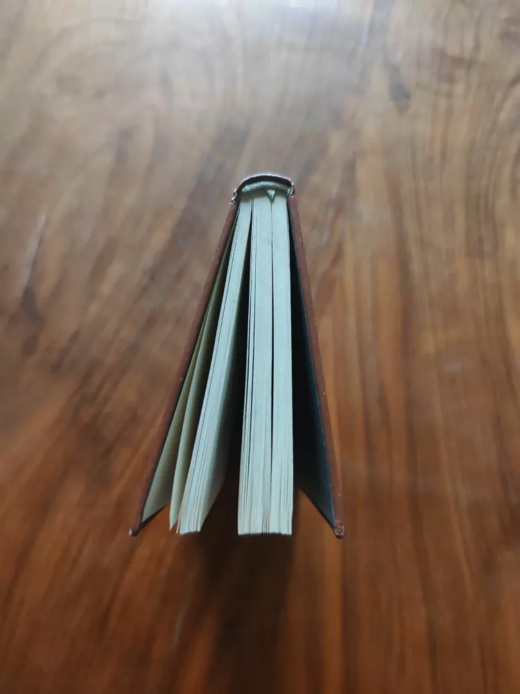 ALOIS JIRÁSEK - Filosofská historie