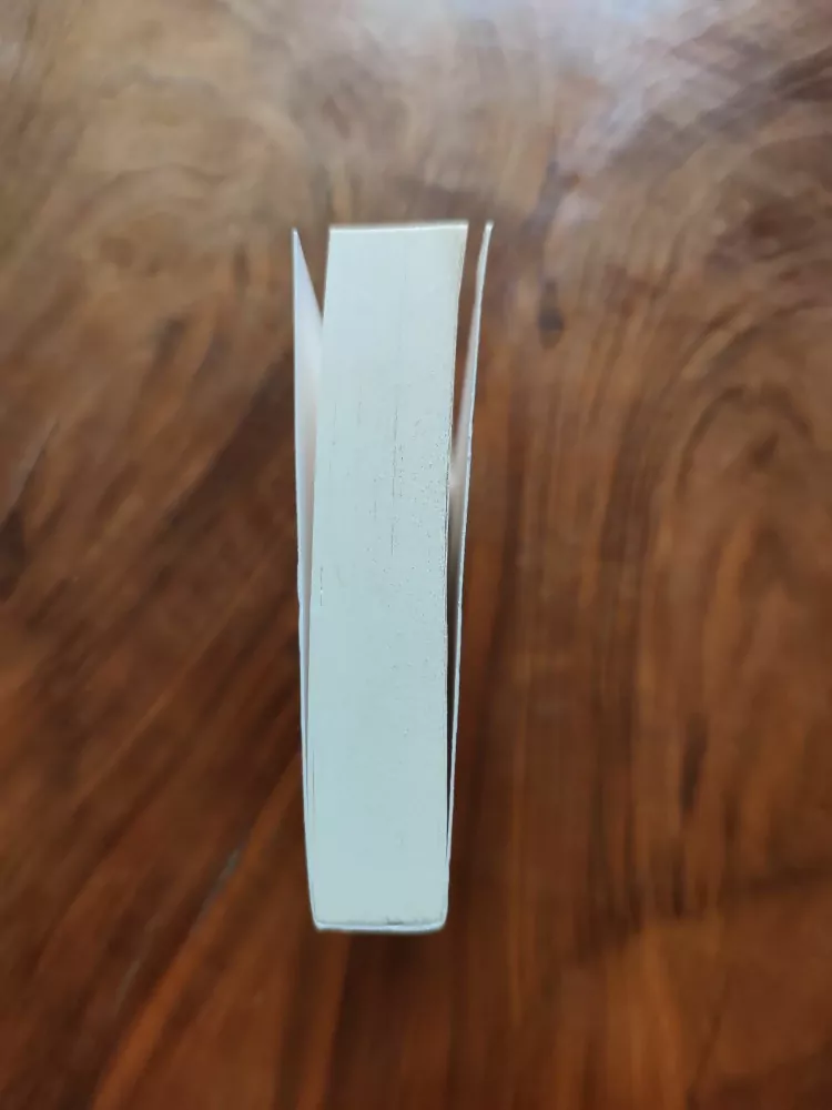 MIC LOOBY - Ráj 2.0