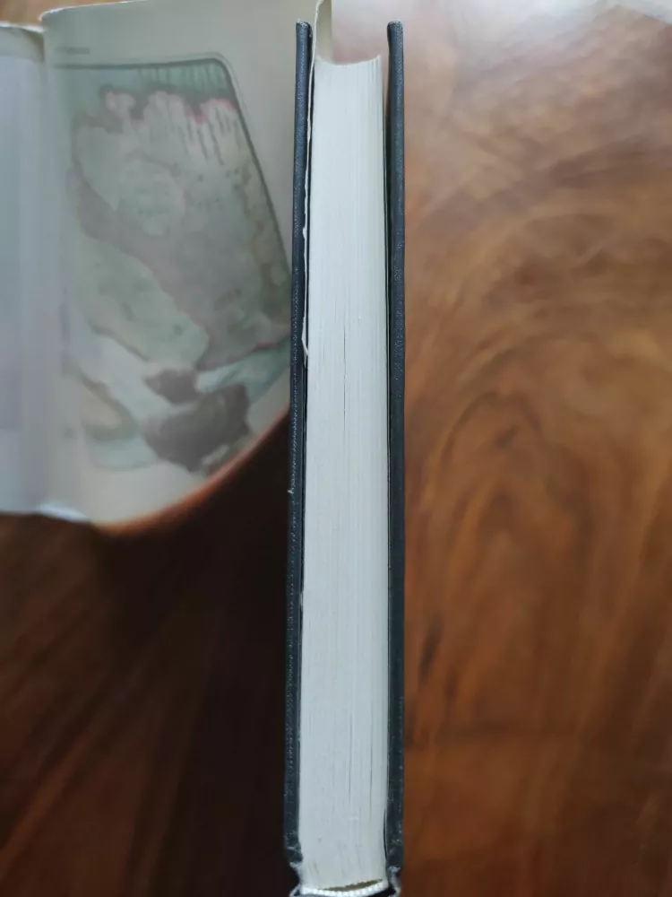 JACK LONDON - Martin Eden