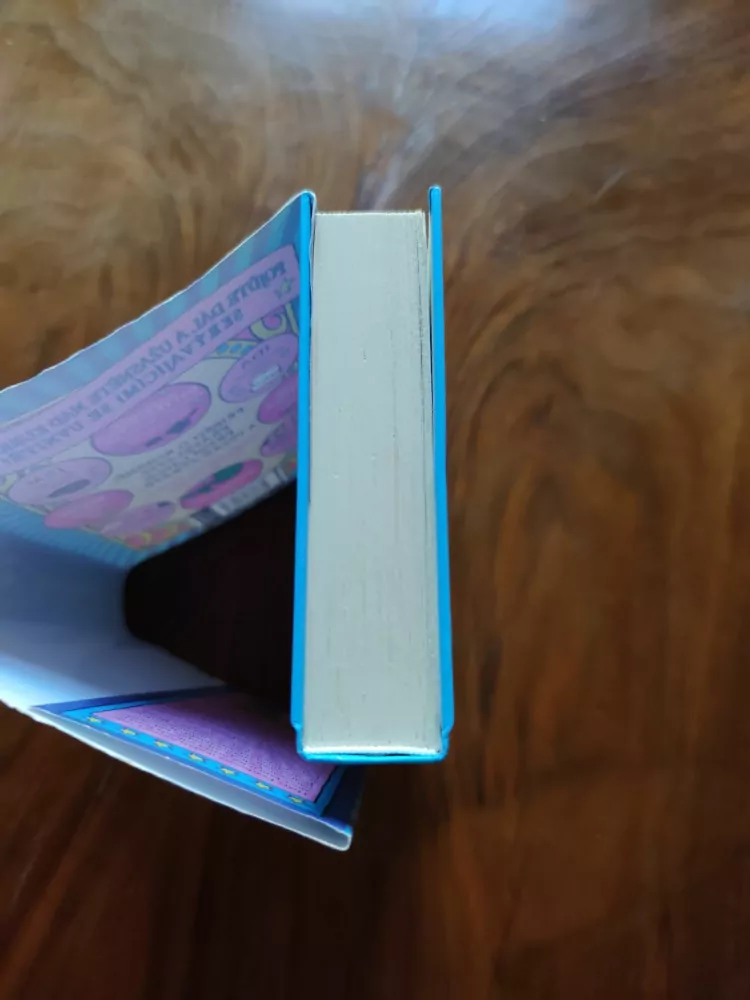 JACQUELINE WILSON - Konec snění