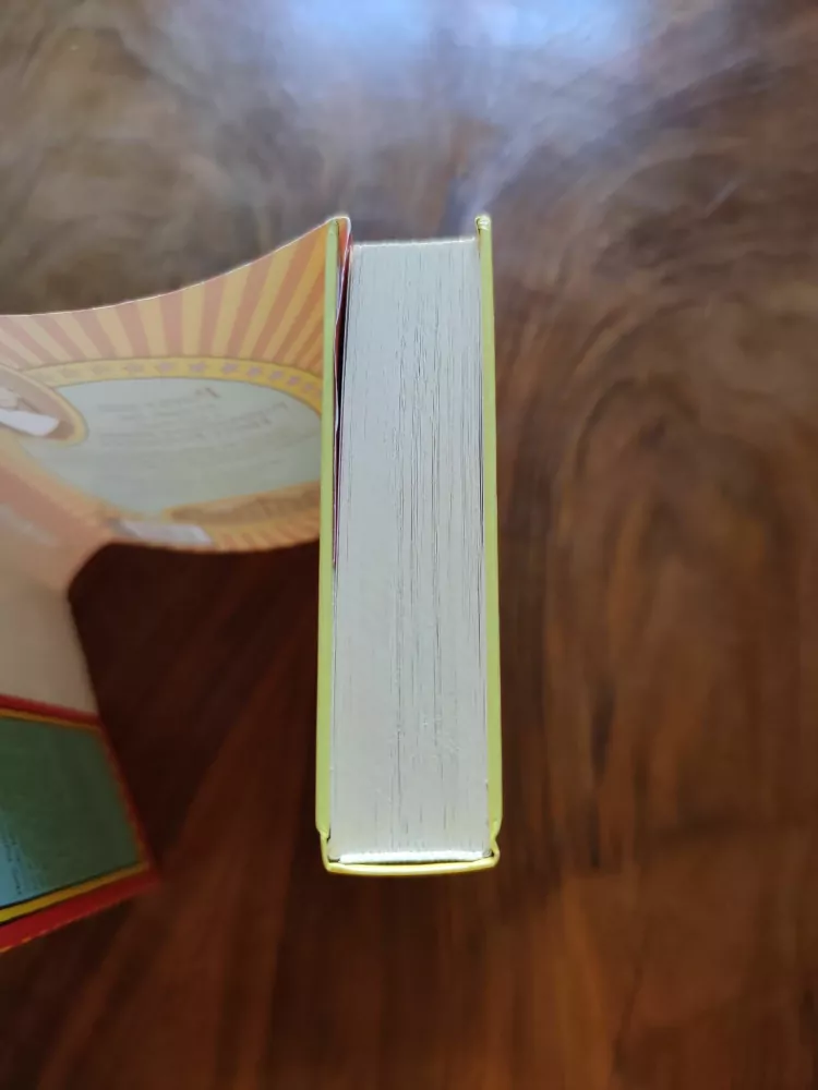 JACQUELINE WILSON - Vzdušné zámky