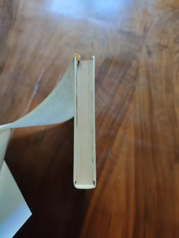 VÁCLAV DUŠEK - Skleněný Golem