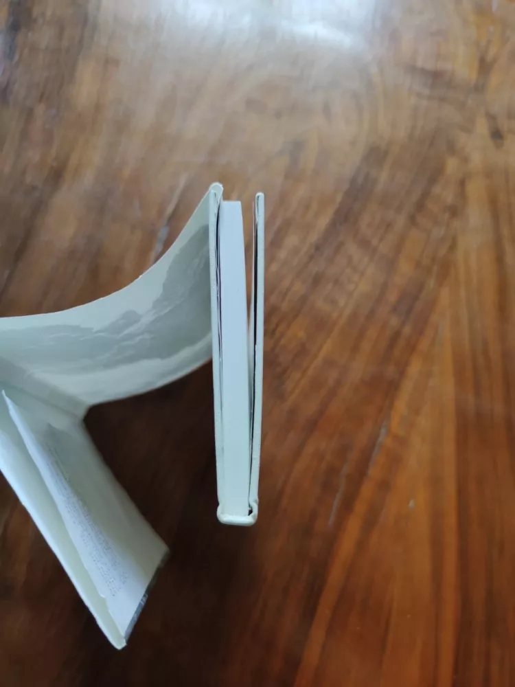 VLADIMÍR BRANDEJS - Milostné příběhy