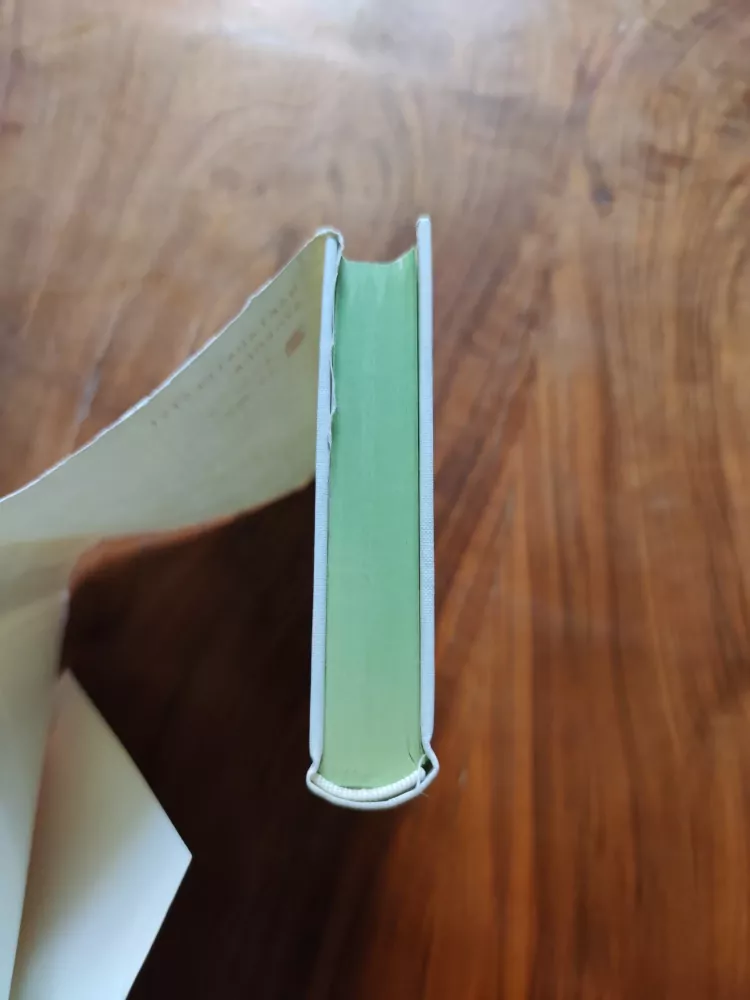 MÓR JÓKAI - Dvojí život