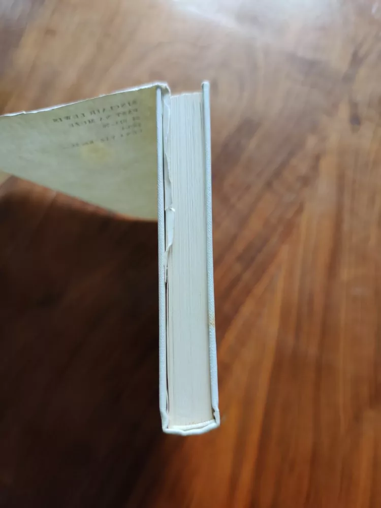 SINCLAIR LEWIS - Past na muže