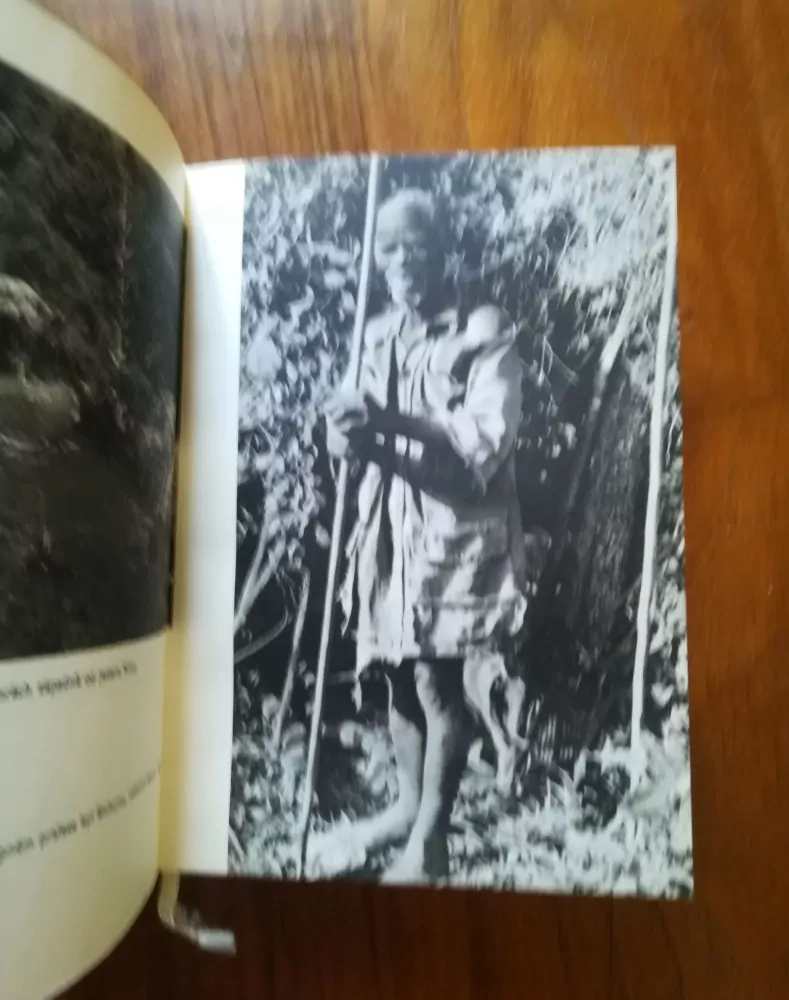 GEORGE B. SCHALLER - Rok mezi gorilami