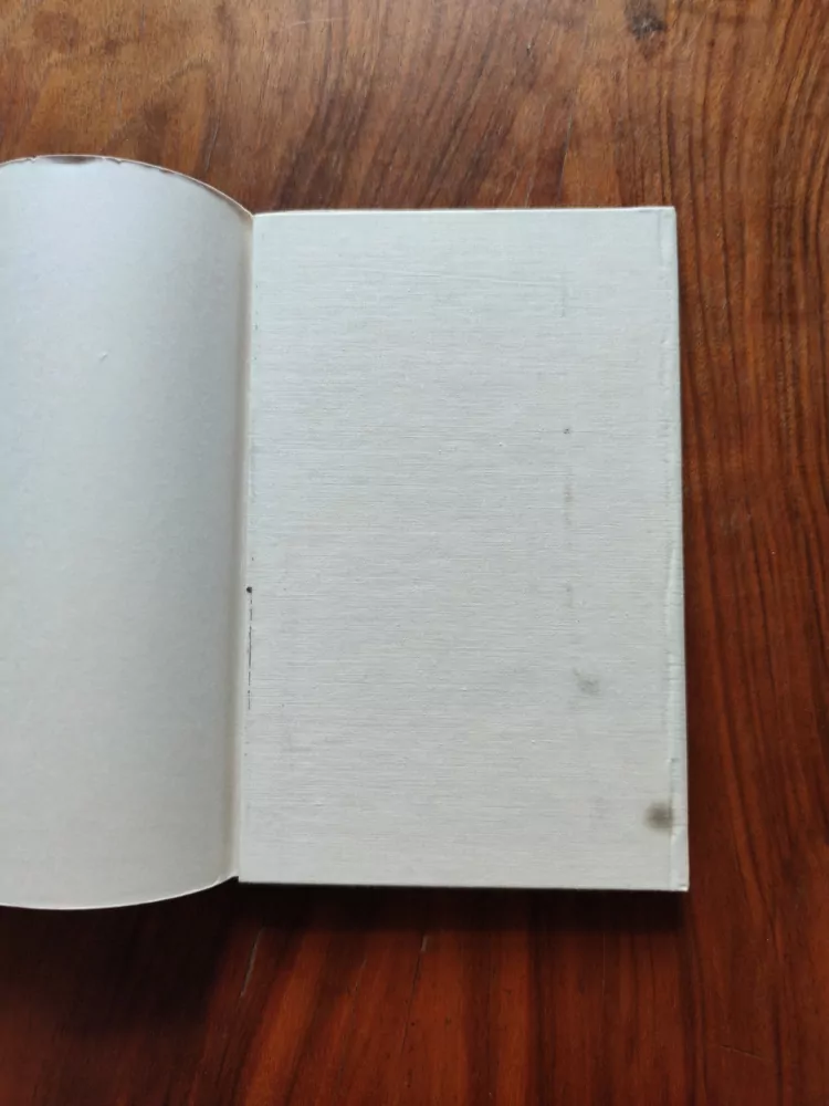 DAVID SCHEINERT -  Proměny lásky a slávy