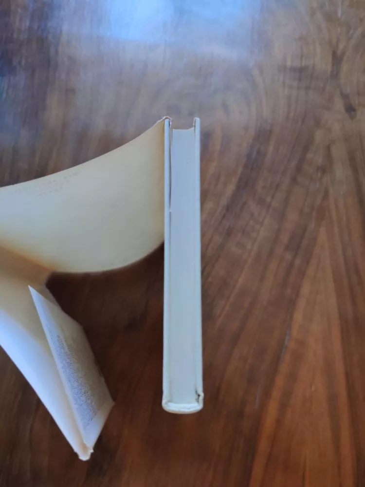 ROBERT MERLE - Za sklem