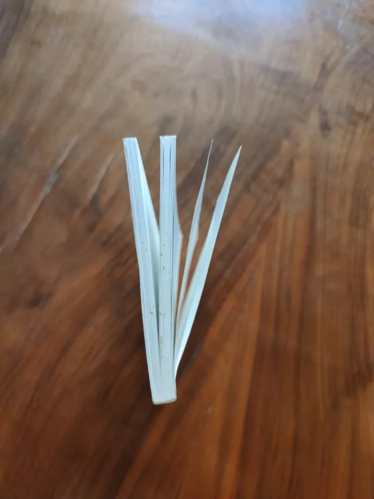 MIROSLAV BATÍK - Toulky s Janem