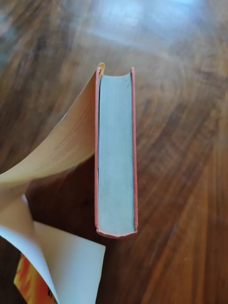 SABURÓ IENAGA - Japan´s last war