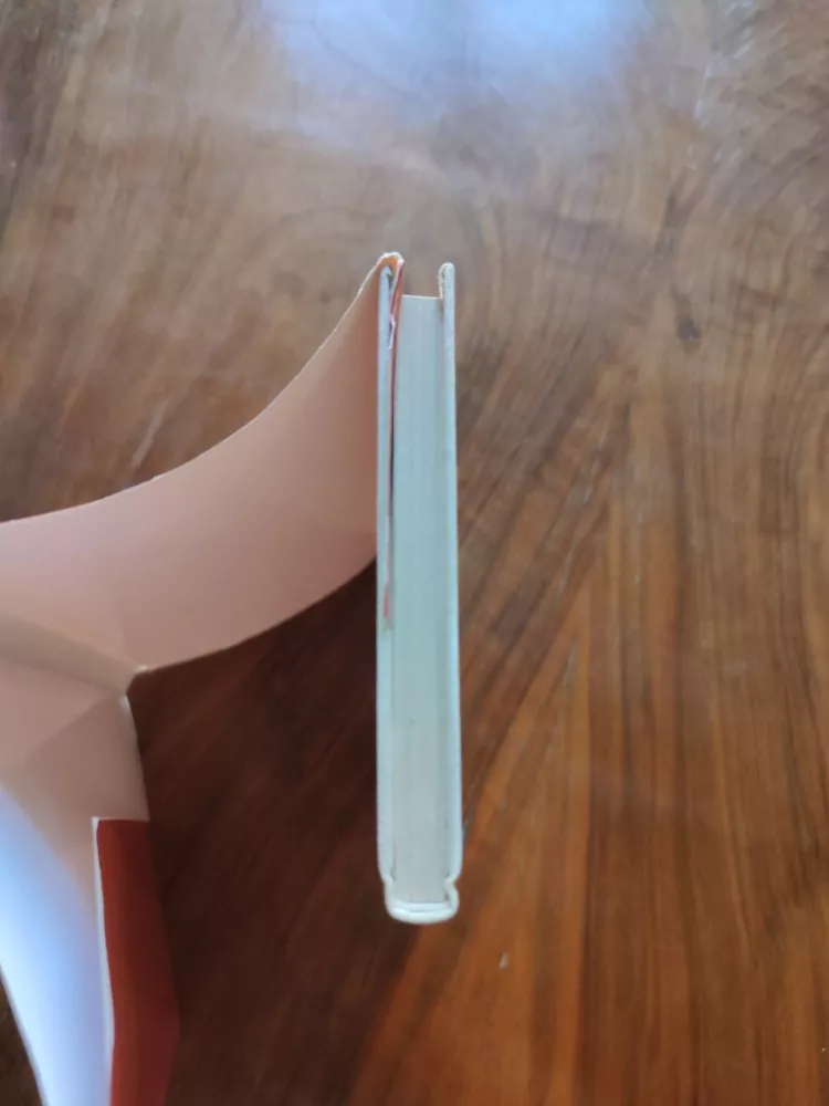 THEODOR STORM - Včelí jezero