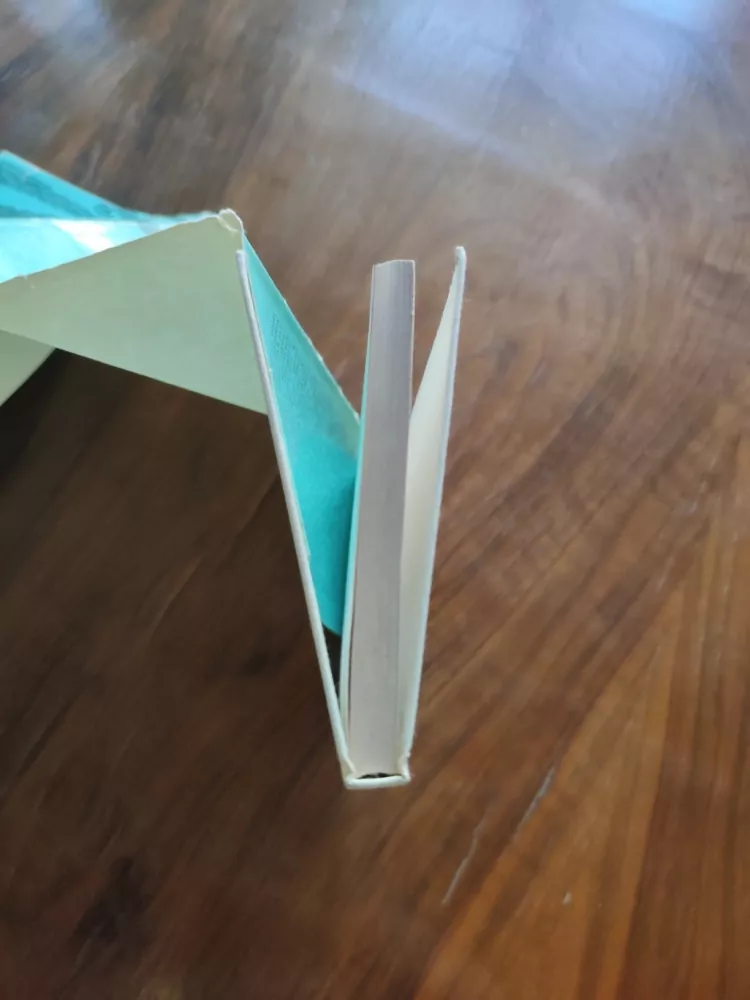 JOHN D. CRAIG - Nebezpečí je mým živlem