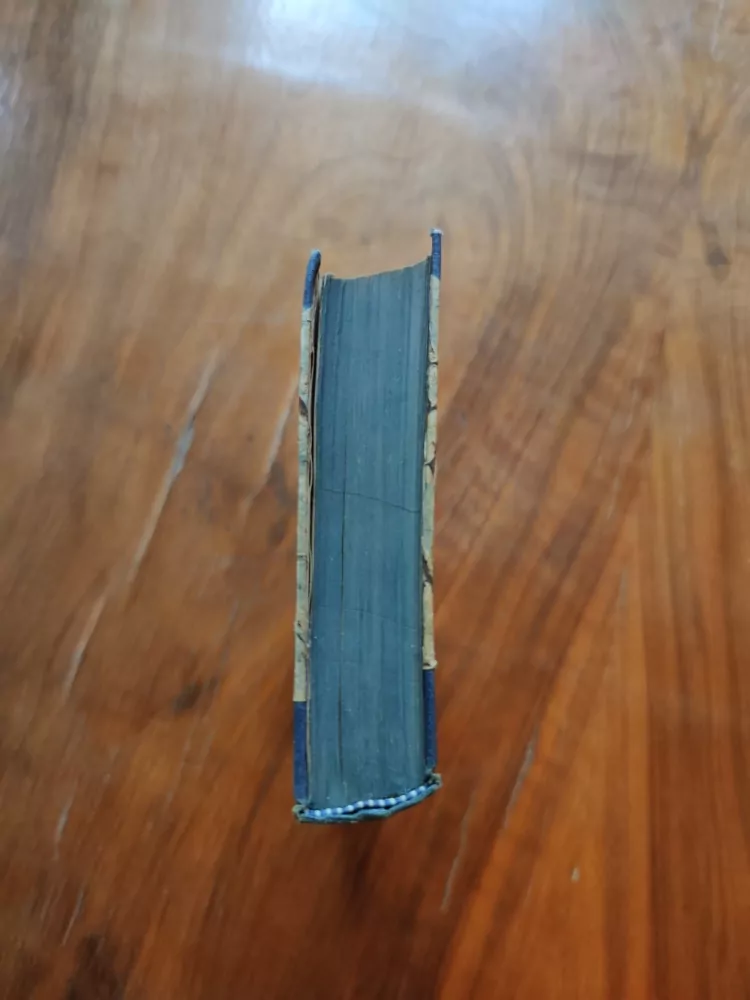 ELINOR GLYN - Katynčiny úspěchy