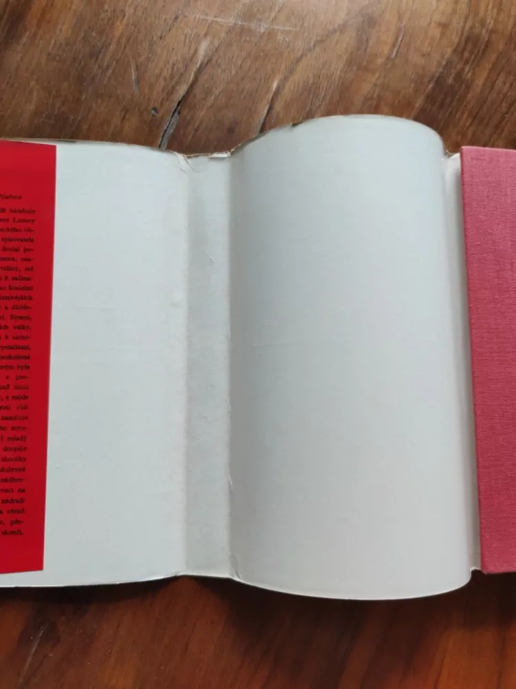 ARNOLD ZWEIG - Mladá žena z roku 1914