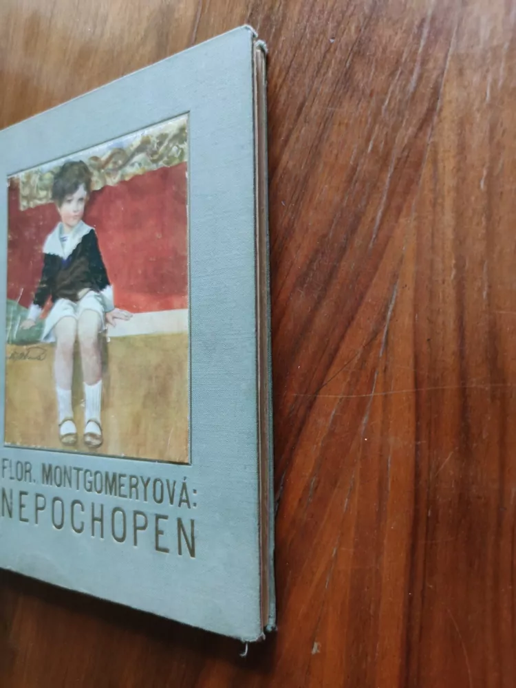 FLORENCE MONTGOMERYOVÁ - Nepochopen