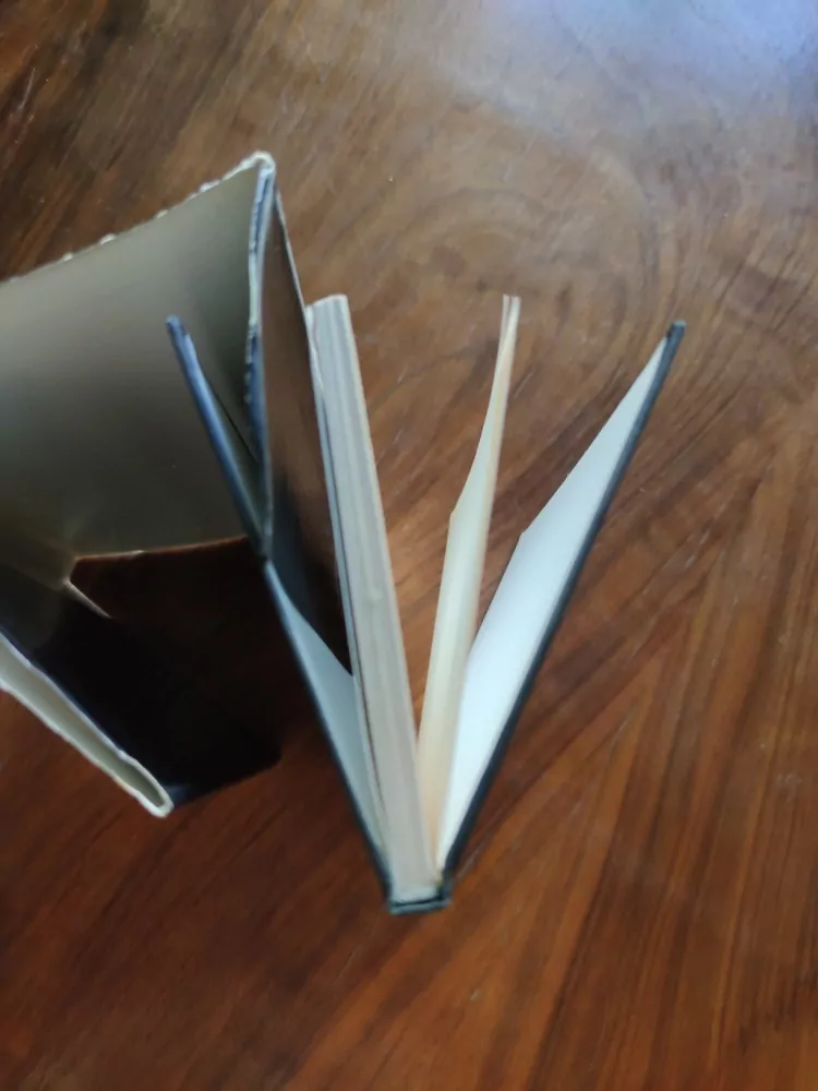 RENÉ CLAIR - Hazardy a náhody