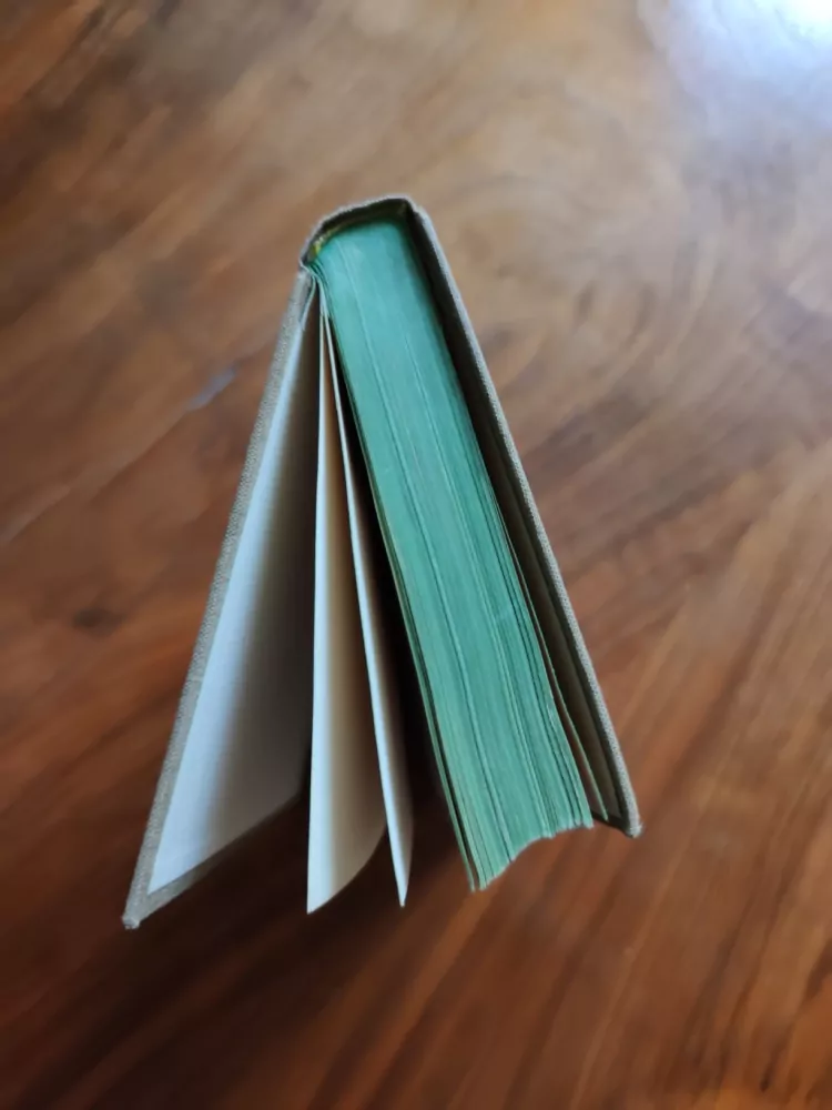 GUSTAVE FLAUBERT - Salambo