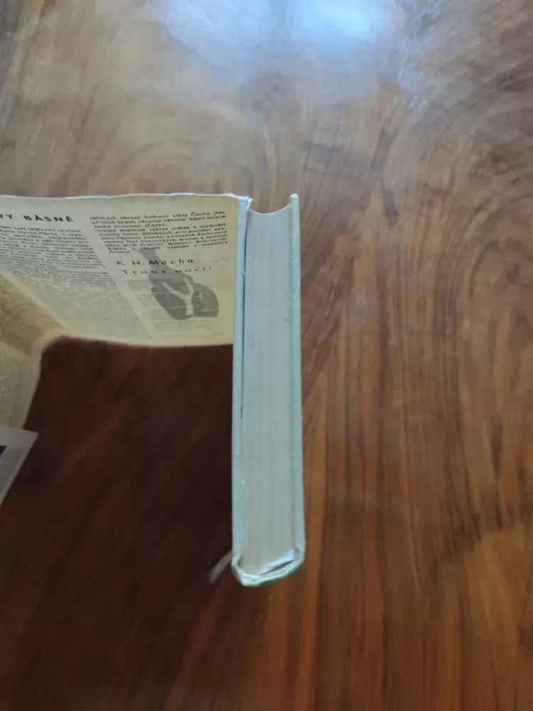 DOROTHY  L.  SAYERS - Vražda potřebuje reklamu