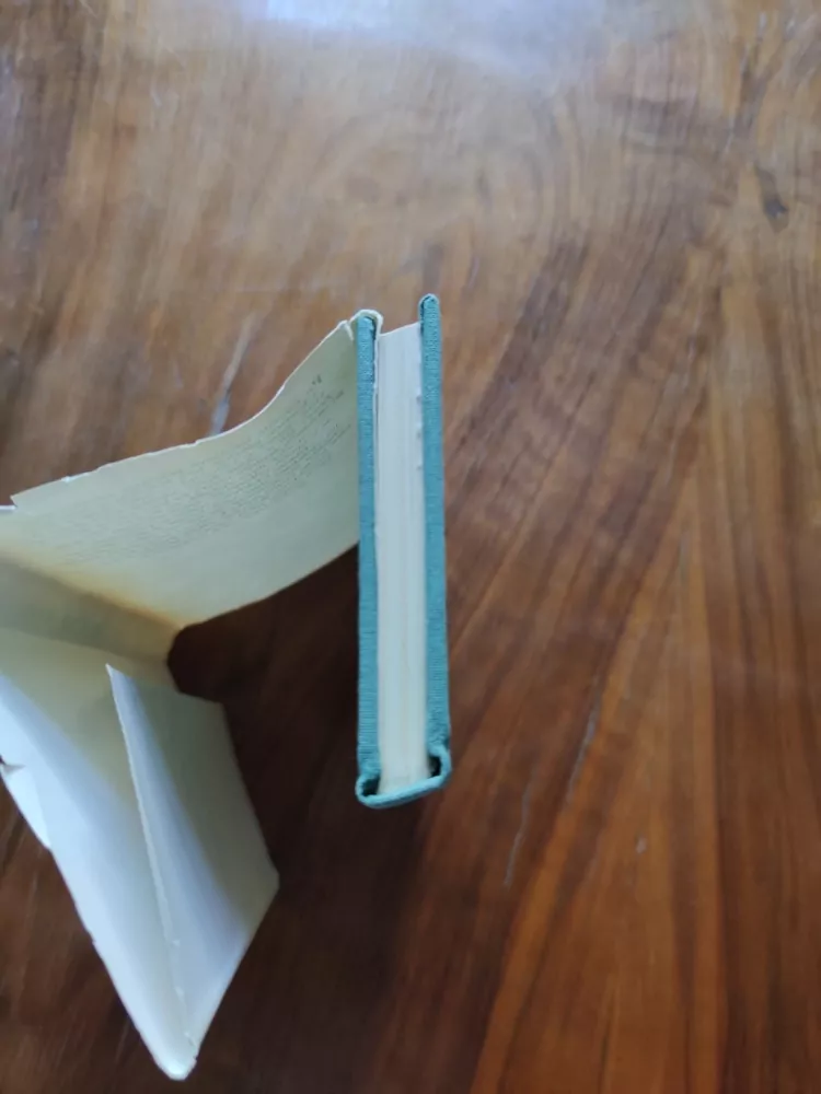 EMA ŘEZÁČOVÁ - Mráz