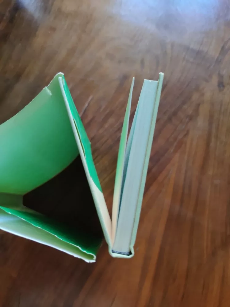 EARL DER BIGGERS - Vražda v Honolulu