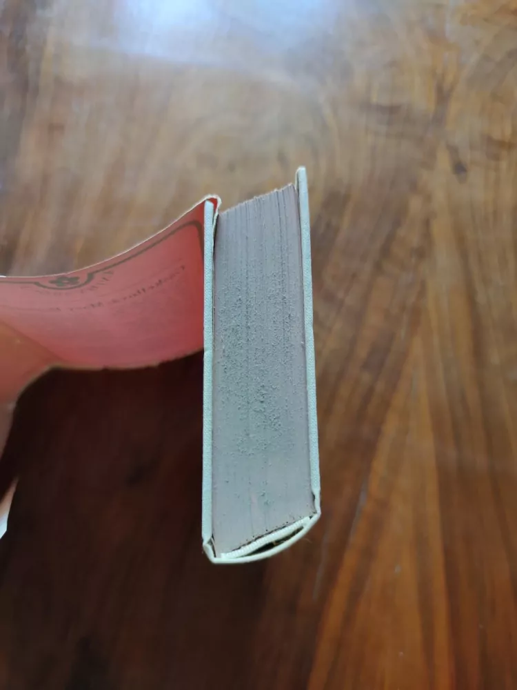 ELIZABETH  GASKELL - Mary Bartonová