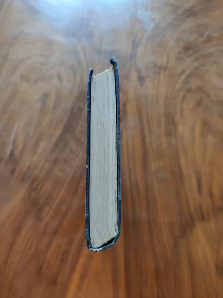 WILLIAM MacLEOD RAINE - Bonanza