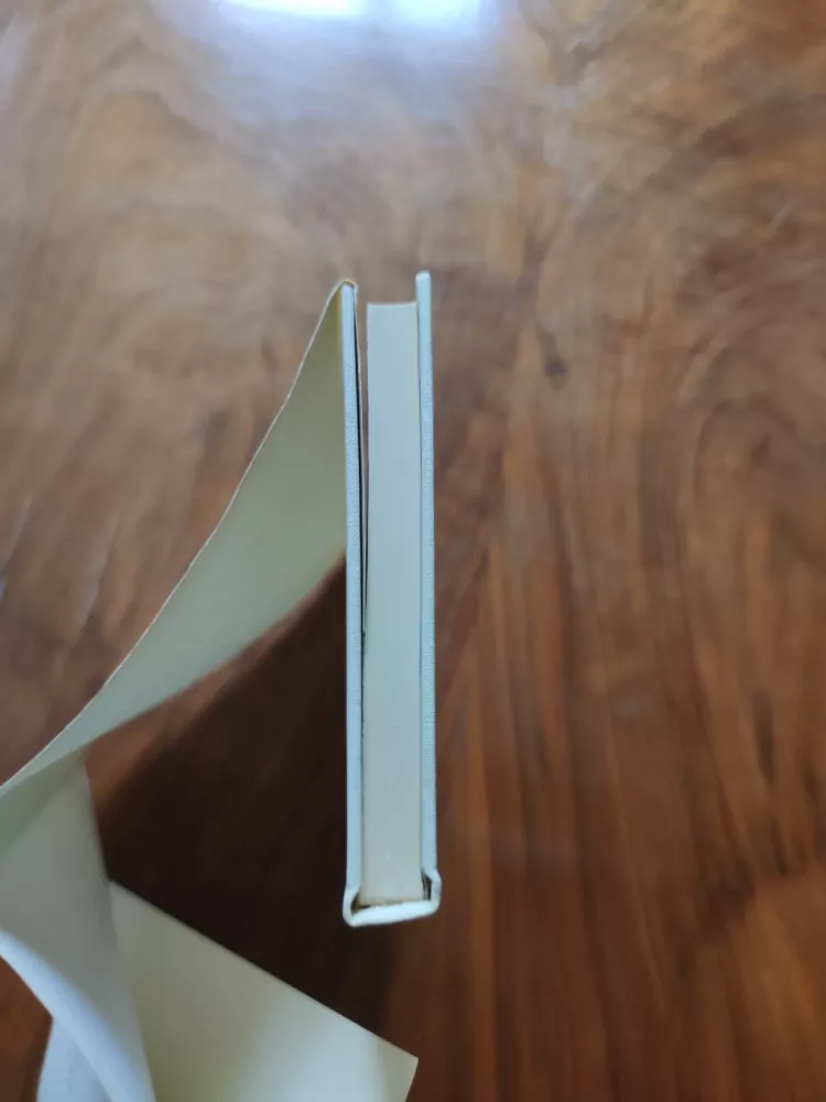 LADISLAV STEHLÍK - U krbu