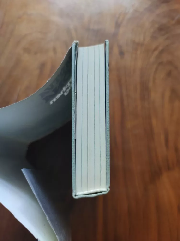 STEPHEN KING - Mrtvá zóna