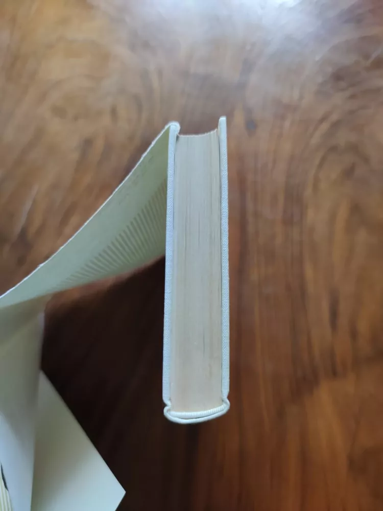 ALEXANDRE DUMAS - Královnin náhrdelník II – Paměti lékařovy VI
