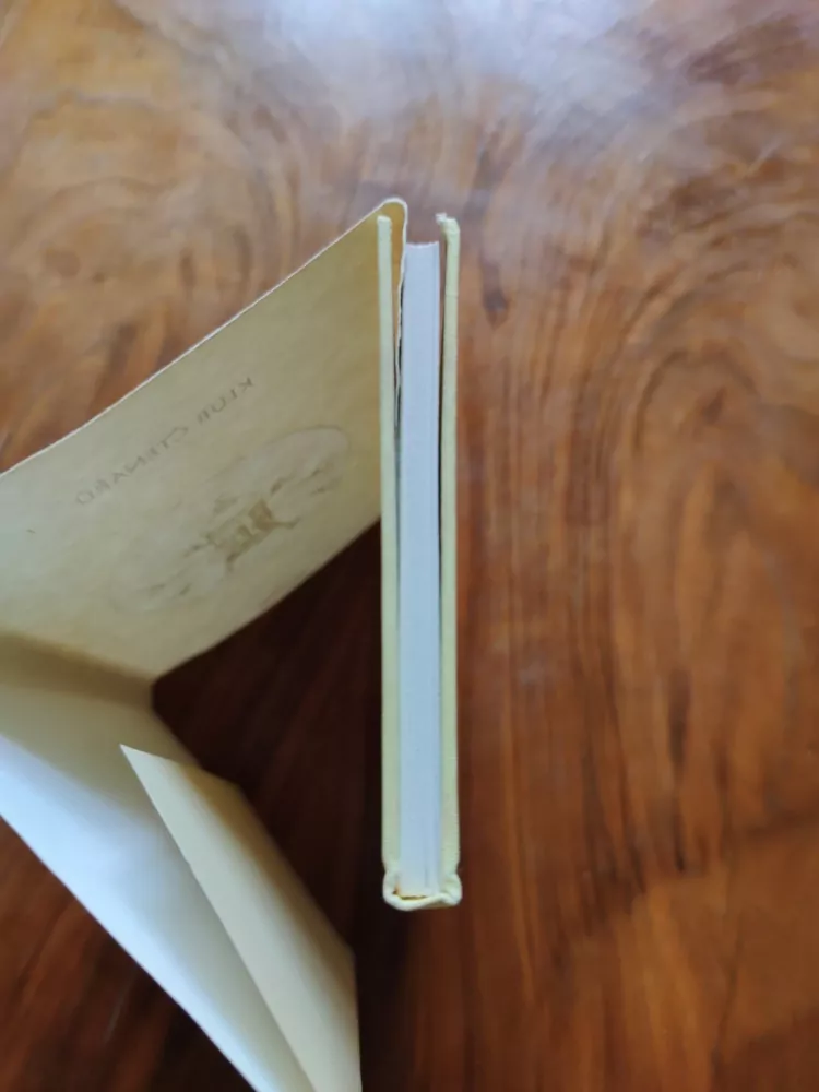 LEONARDO DA VINCI - Nápady