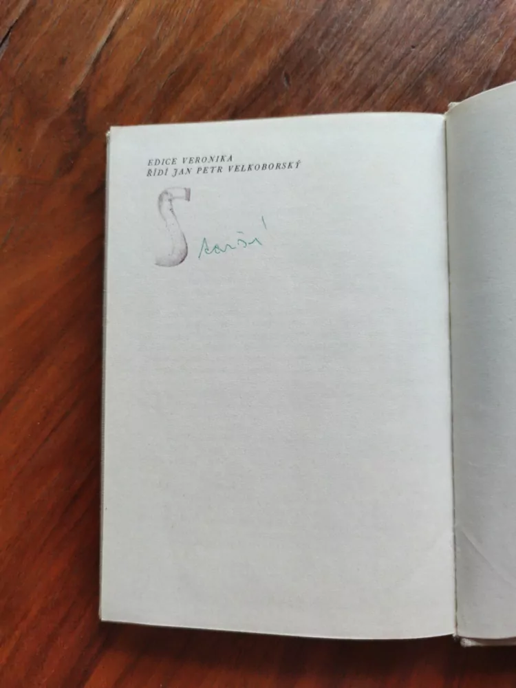 JARMILA ČERNÍKOVÁ - Poslední prázdniny