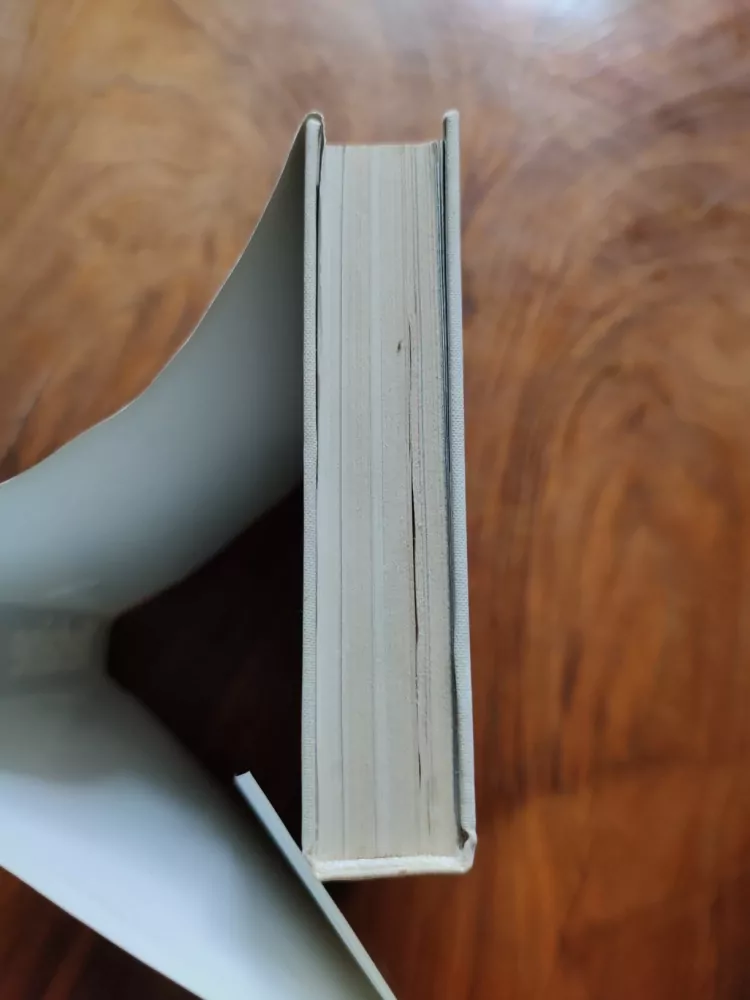 PIERRE PETITFILS - Verlaine