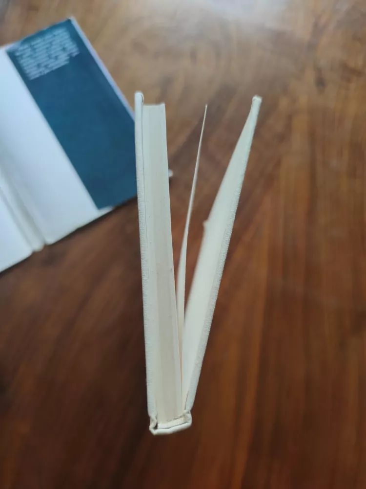 ROBERT MCCRUM - V tajném státě