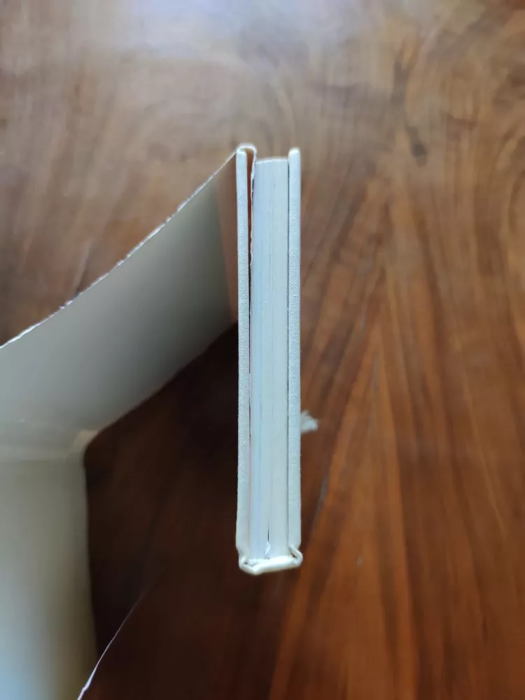 LEO WEISMANTEL - Leonardo da Vinci