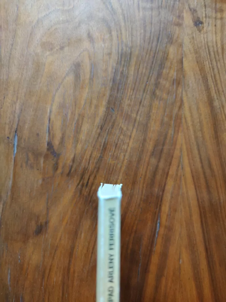 ERLE STANLEY GARDNER - Případ Arleny Ferrisové