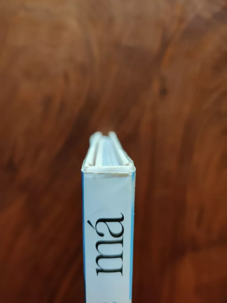 ERICH EINHORN - Země má