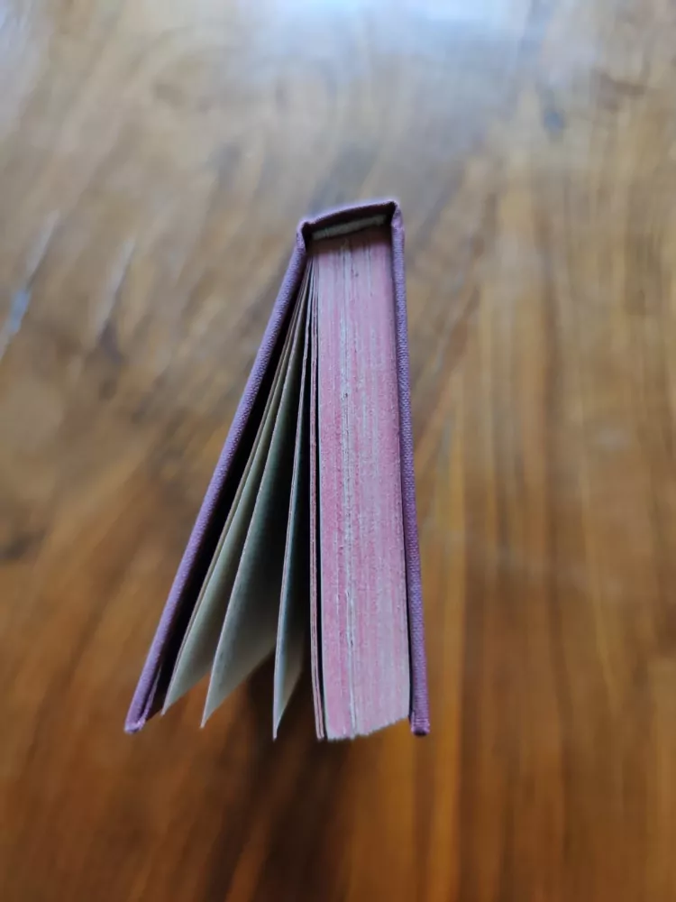 SLÁVKA POBEROVÁ - Zlodějky vody