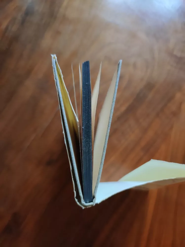 RAYMOND RADIGUET - Ďábel v těle