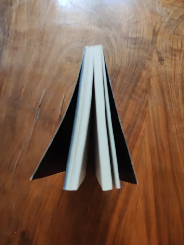 JANA ROVENSKÁ, DUŠAN ROVENSKÝ - Americké putování