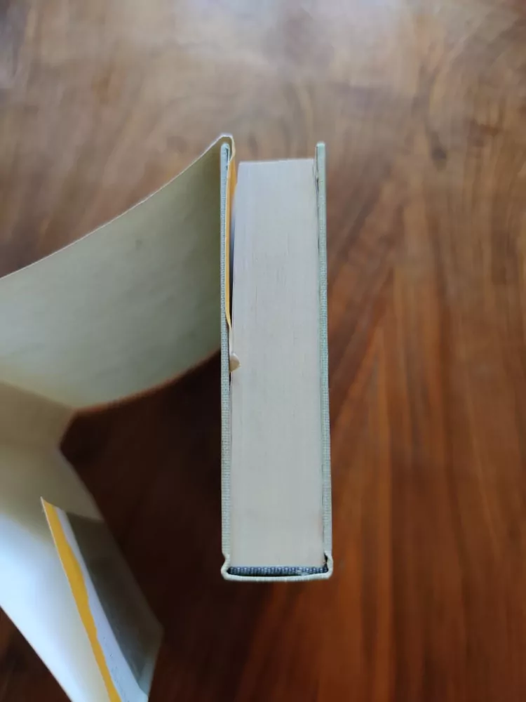 IRWIN SHAW - Mladí lvi