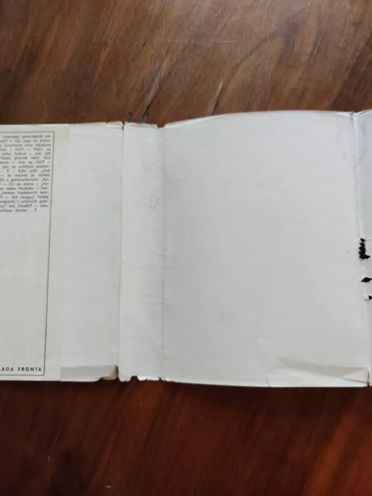 RITCHIE R. WARD - Živé hodiny