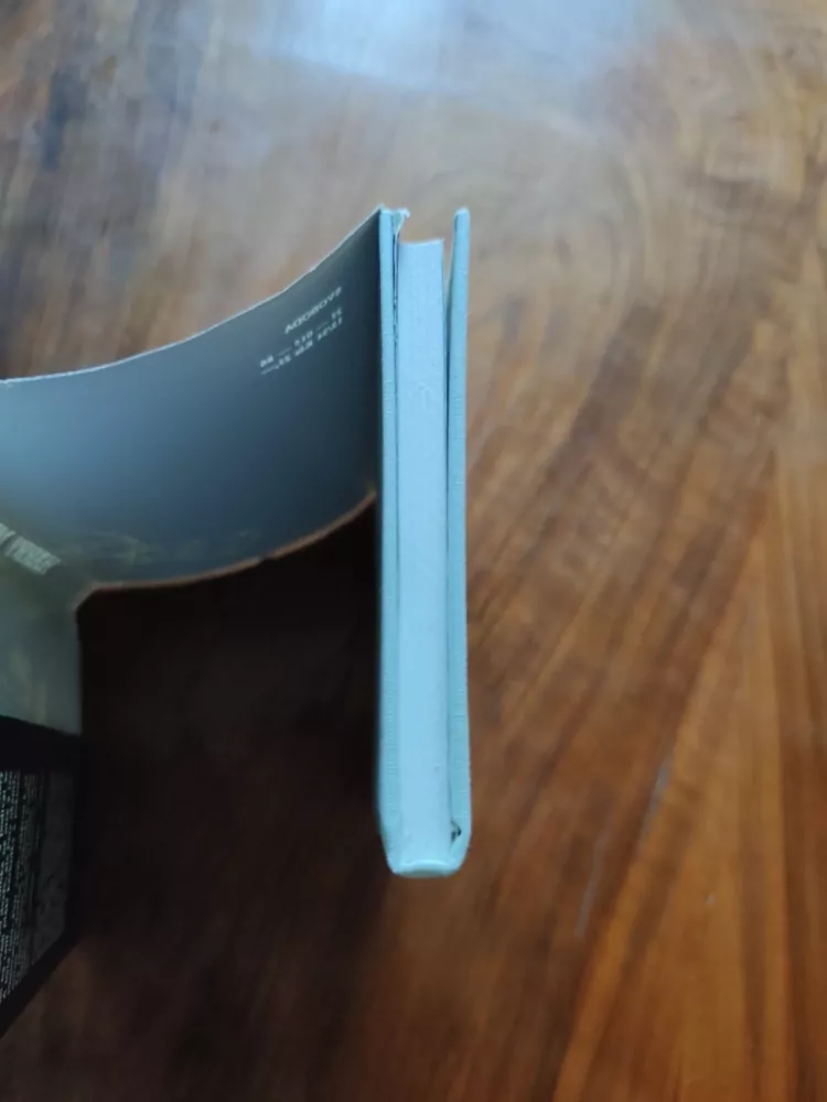 HARRY MULISCH - Atentát