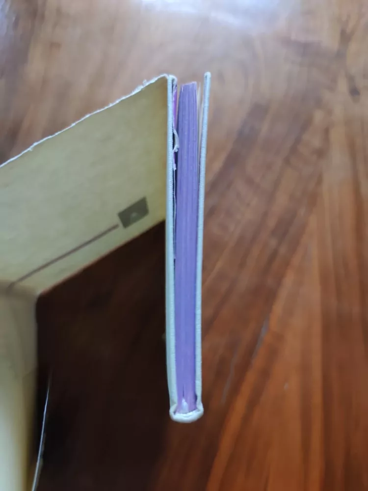 GENNADIJ GOR - Hosté z Uázy