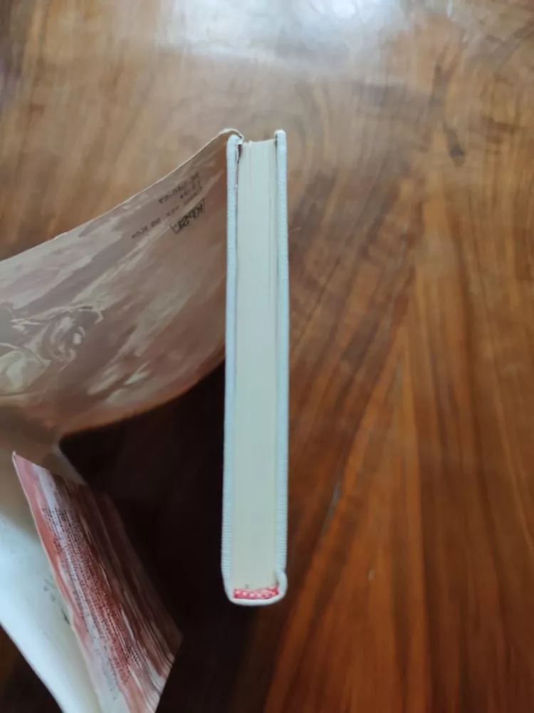 ALEXANDR RŽEŠEVSKIJ - Pláž v Eltigenu