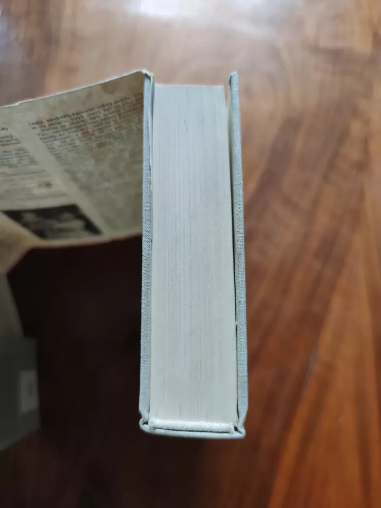 ALOIS MRŠTÍK, VILÉM MRŠTÍK - Rok na vsi I.