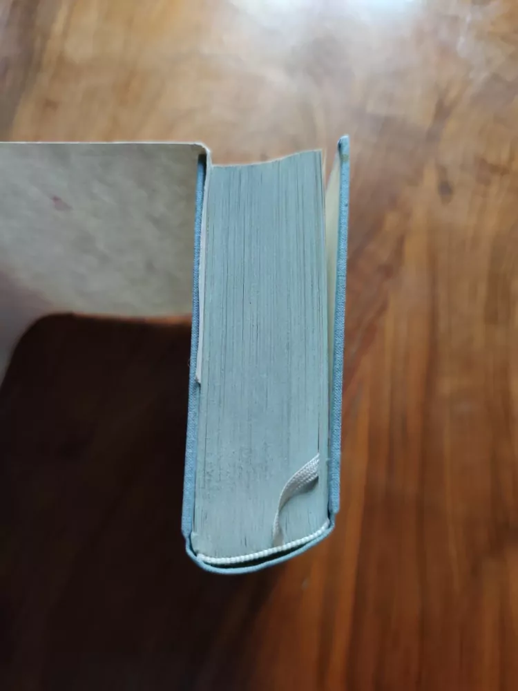 ILJA ERENBURG - Pád Paříže